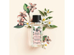 Tendres Instants - Concentré de Parfum Roll-on