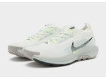 Nike Pegasus Trail 5 GORE-TEX Homme