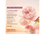 Comme Une Evidence - Eau de Parfum