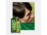 Shampooing Traitant Anti-Pelliculaire Sans Sulfate