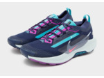 Nike Chaussures de trail Pegasus Trail 5 GORE-TEX® Homme