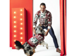 Pull pour chien Noël - Rouge
