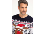 Pull Noël Cerf