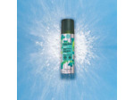 Shampooing Sec Purifiant