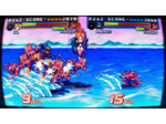 Fight'n Rage 5th Anniversary Limited Edition