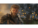 Assassin's Creed Valhalla