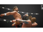 Aew: Fight Forever - Occasion