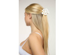 Barrette à cheveux
