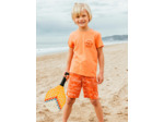 Ensemble Plage Requin