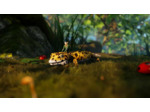 Smalland Survive The Wilds - Occasion
