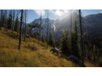 Way Of The Hunter - Occasion