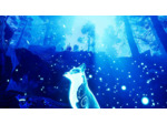 Spirit Of The North - Occasion