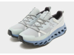 On Running Cloudhorizon