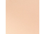 Poudre compact matifiante 9 g