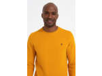 Sweat Manches Longues Dolce