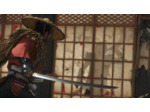 Ghost Of Tsushima Director's Cut
