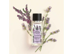 Calme Absolu - Concentré de Parfum Roll-on