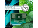 Soin Lissant Détoxifiant Jour