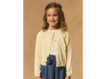 Gilet jaune
