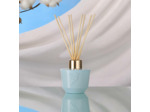 Diffuseur 100 ml