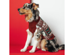 Pull pour chien Noël - Rouge