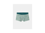 Lot de 5 boxers dinosaures pour garçons