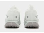 Nike Pegasus Trail 5 GORE-TEX Homme