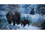 Planet Zoo Console Edition - Occasion