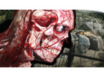 Sniper Elite 5 - Occasion