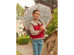 Parapluie Transparent
