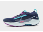 Nike Chaussures de trail Pegasus Trail 5 GORE-TEX® Homme