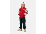Veste de style universitaire NBA Chicago Bulls