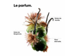 Shampooing réparateur Absolut Repair Molecular 1500ml