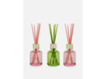 Lot de 3 mini diffuseurs à bâtonnets