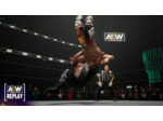 Aew: Fight Forever - Occasion