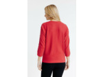 Pull Bicolore