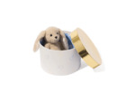 Boîte cadeau Miffy ronde Ø 22,5 x 15