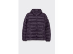 Manteau Sportwear Champion Polyfilled Homme