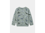 Sweat-Shirt Dinosaures