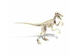 Archéo Ludic Vélociraptor
