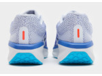 Nike Winflo 11 Homme