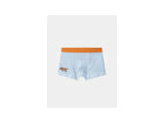 Lot de 5 boxers dinosaures en jersey