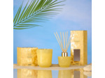 Diffuseur 100 ml
