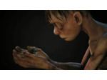 The Lord Of The Rings Gollum - Occasion