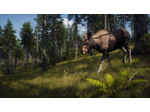 Way Of The Hunter Wild Expeditions