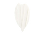 Crème Légère Apaisante Peaux Sensibles - 50ml
