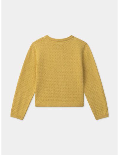 Gilet jaune brodé