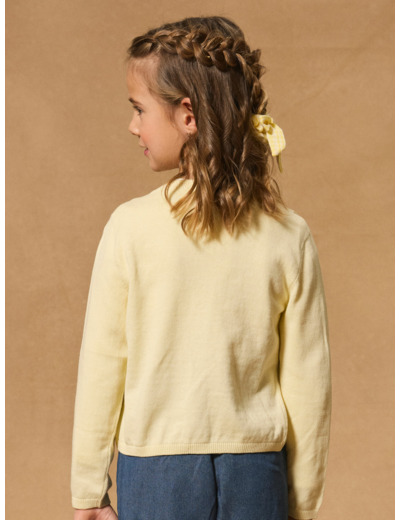 Gilet jaune