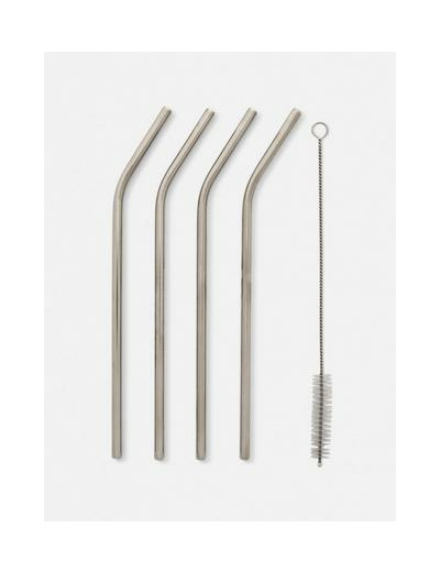 Lot de 4 pailles en acier inoxydable