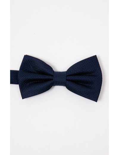 Noeud papillon en soie